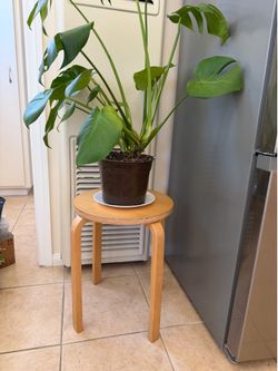 Round Wooden Side Table