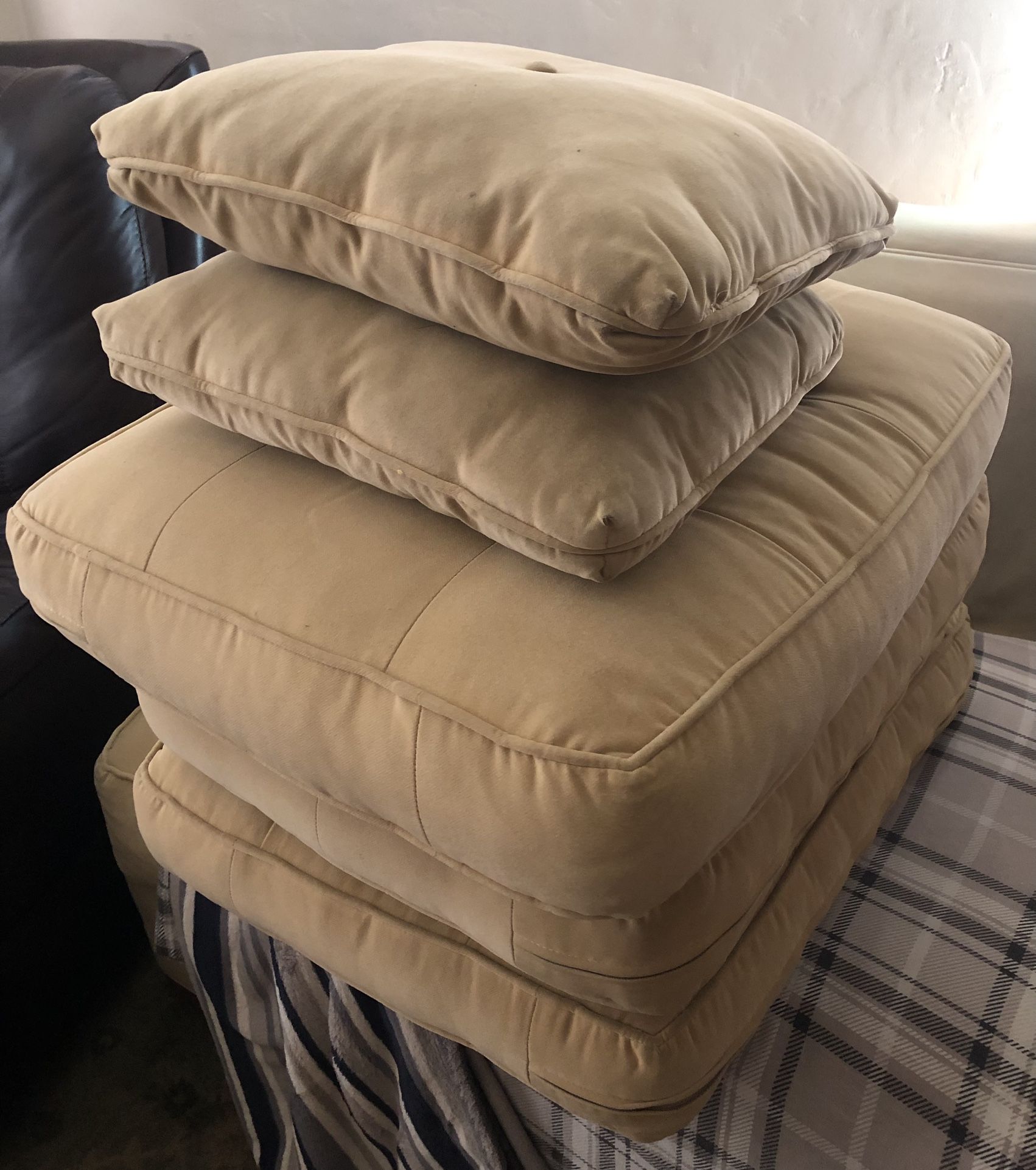 Free Couch Cushions