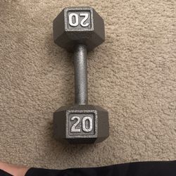 20lb Iron Hex Dumbell