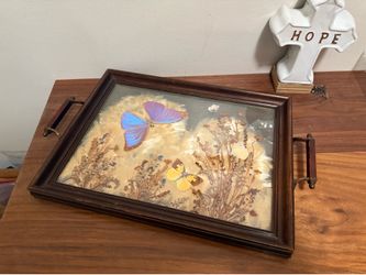 Alice Newcomb antique tray dried botanicals