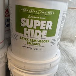 5 Gallons Benjamin Moore Paint