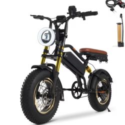 Electric Bike
