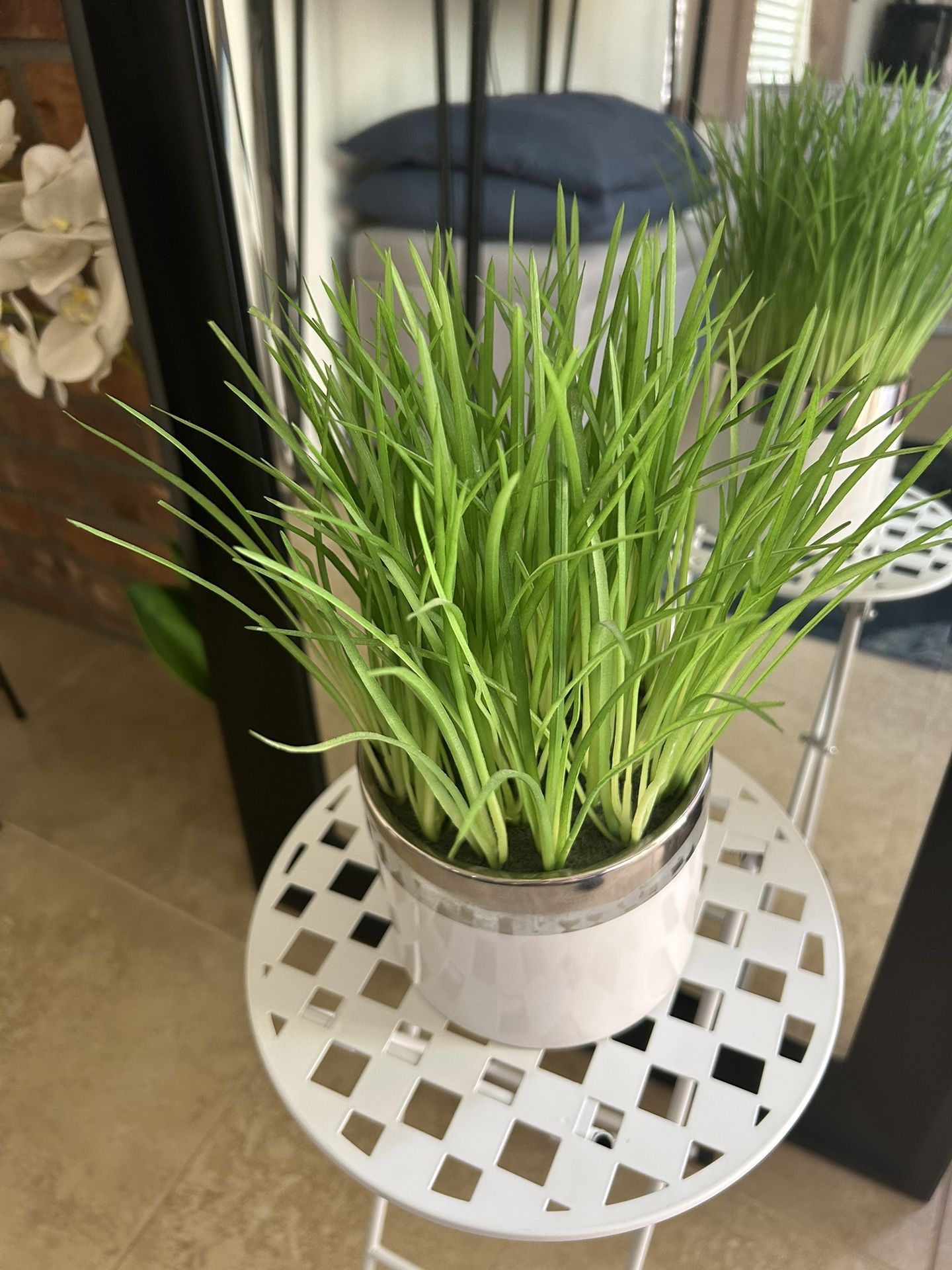 Potted Faux Grass Plant for Sale in Scottsdale, AZ OfferUp