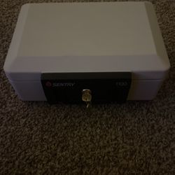 Sentry Safe