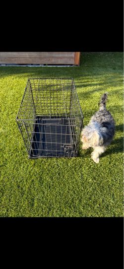 Dog crate