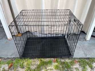 Pet Crate 43”W x 28”D x 30”H Used But Good Condition $50 Firm on Price