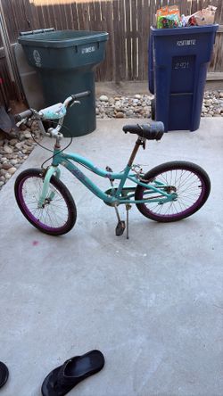 20” bike