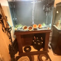 Fish Tank 80 Gallon