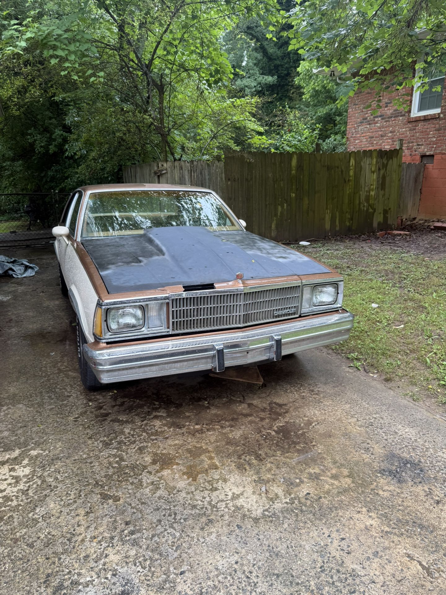 1980 Chevrolet Malibu