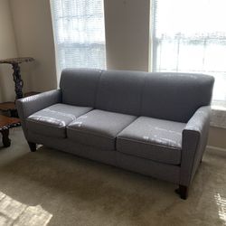 Living Room Couch + Two Pillows (Like Brand New)