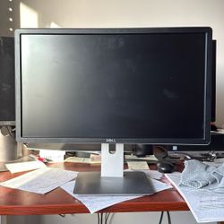 Dell  Computer Monitor