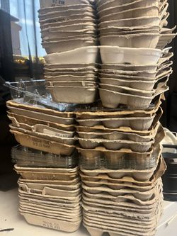 Free Egg Cartons