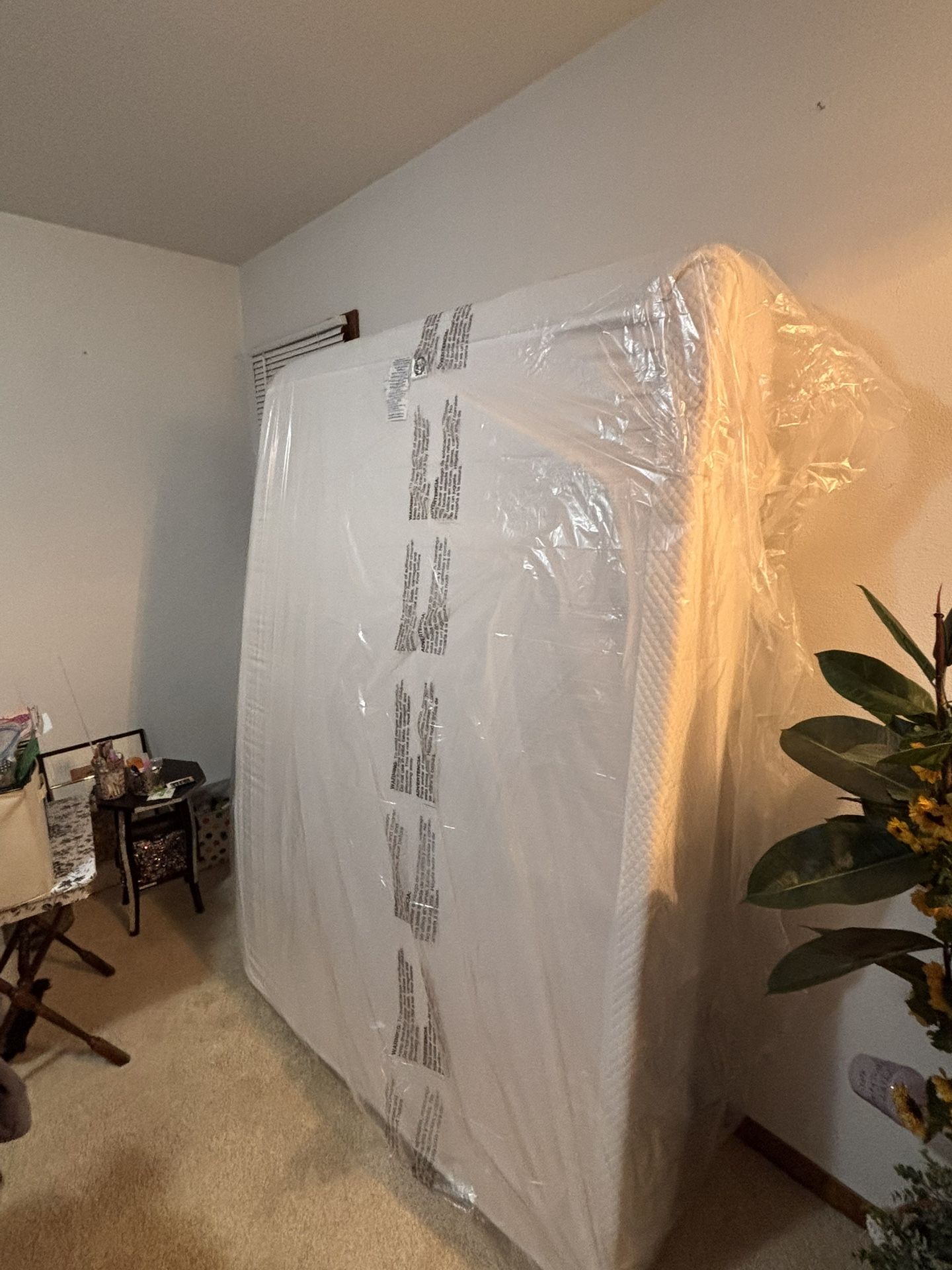 Full Size Mattress (New)