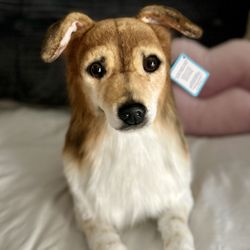 Petsie Custom Stuffed Animal