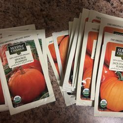 Pumpkin Seed Packs For Planting 