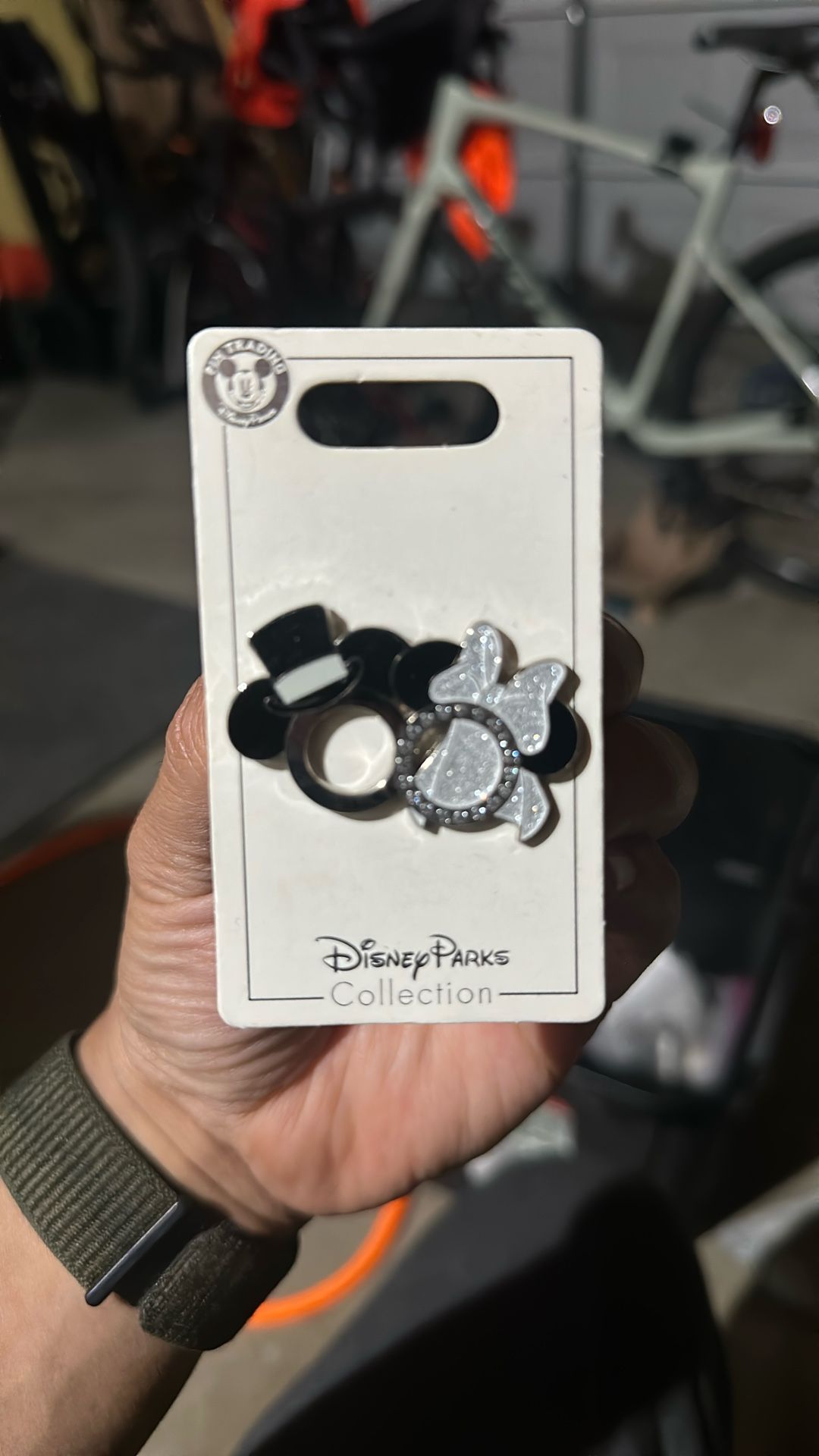 Disney parks collection pin