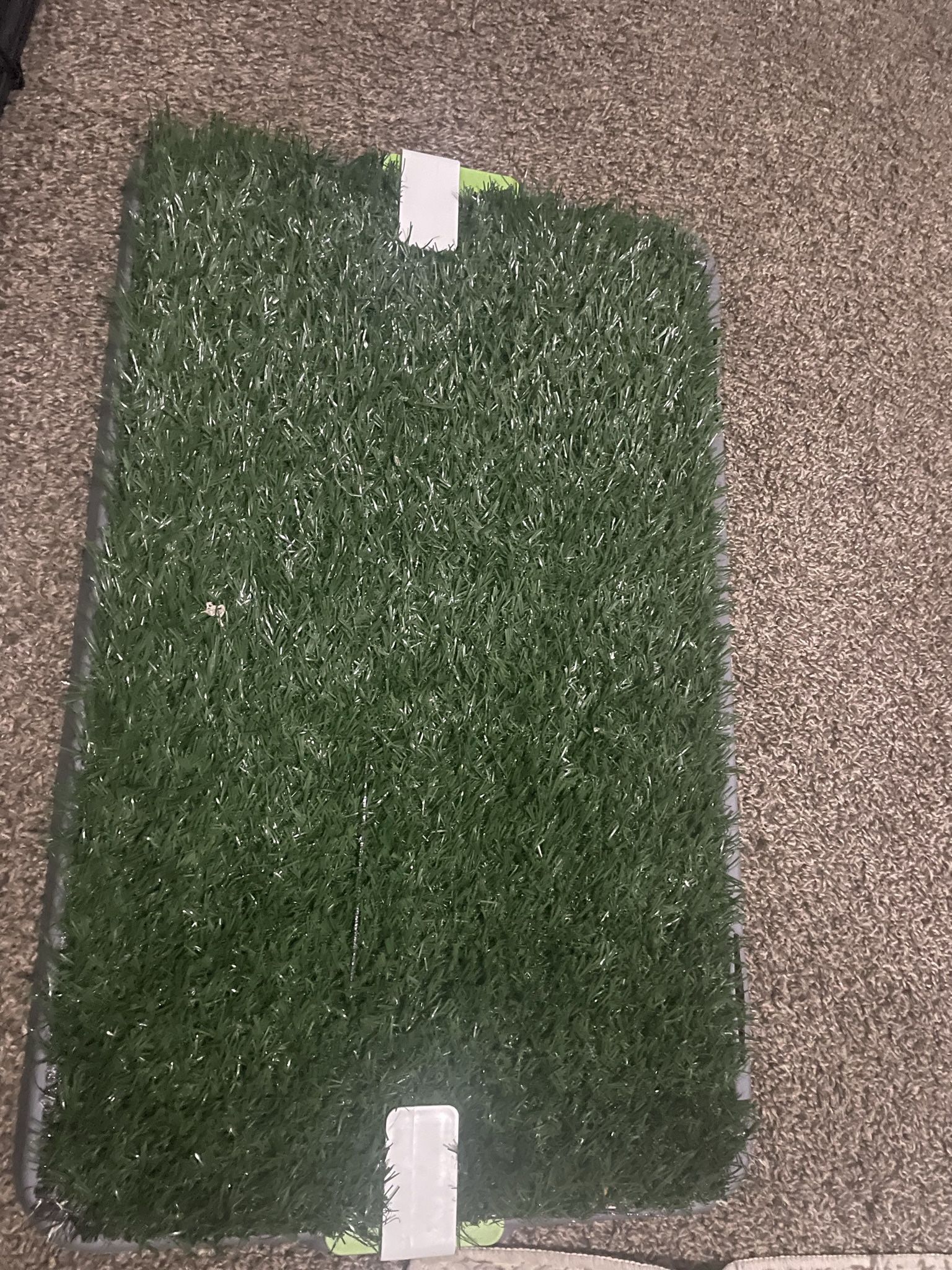 Indoor Potty Pad For Dogs