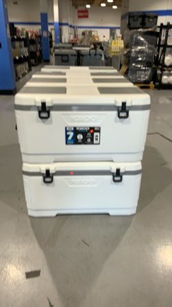 Igloo MaxCold  XL 150qt $80