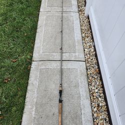 Casting Rod Fenwick Techna PX 7'6"