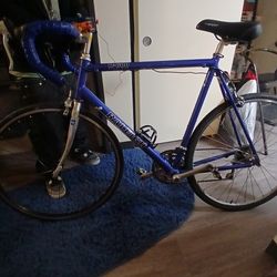 RALEIGH BIKE  R-600 Blue Medium Size Great Coondition