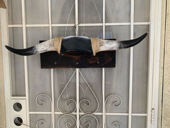 Bull Horns