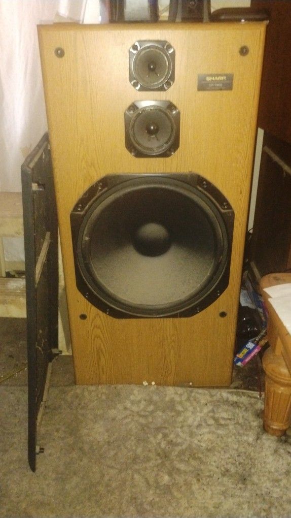 Two 250 Watt Floor Standing Speakers With Reset Woofers