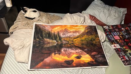 2,000 piece huge finished puzzle