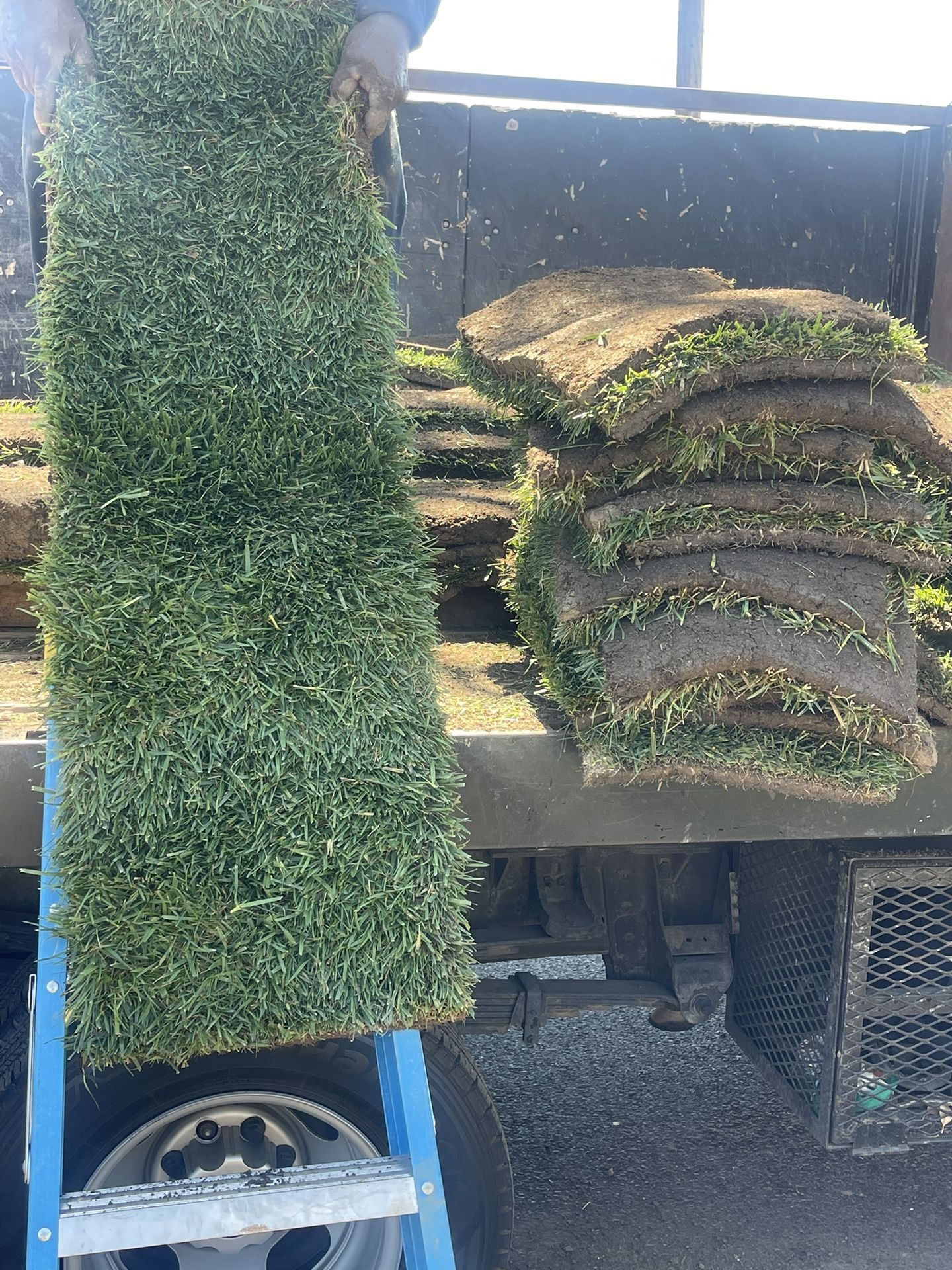 Grass And Sprinklers $3 Per Sq/ Ft