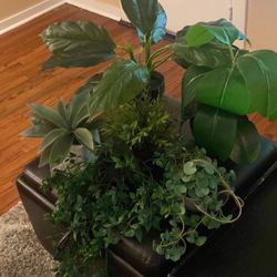 6 Fake Plants 