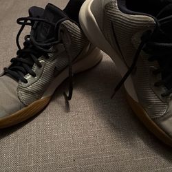 Nike Precision 3 basketball shoes in the Light Smoke Grey Navy colorway