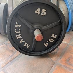 45 Lb Olympic Weights 