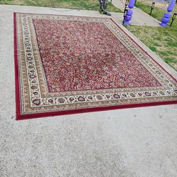 Large and Semi Thick Area Rug 8' x 11