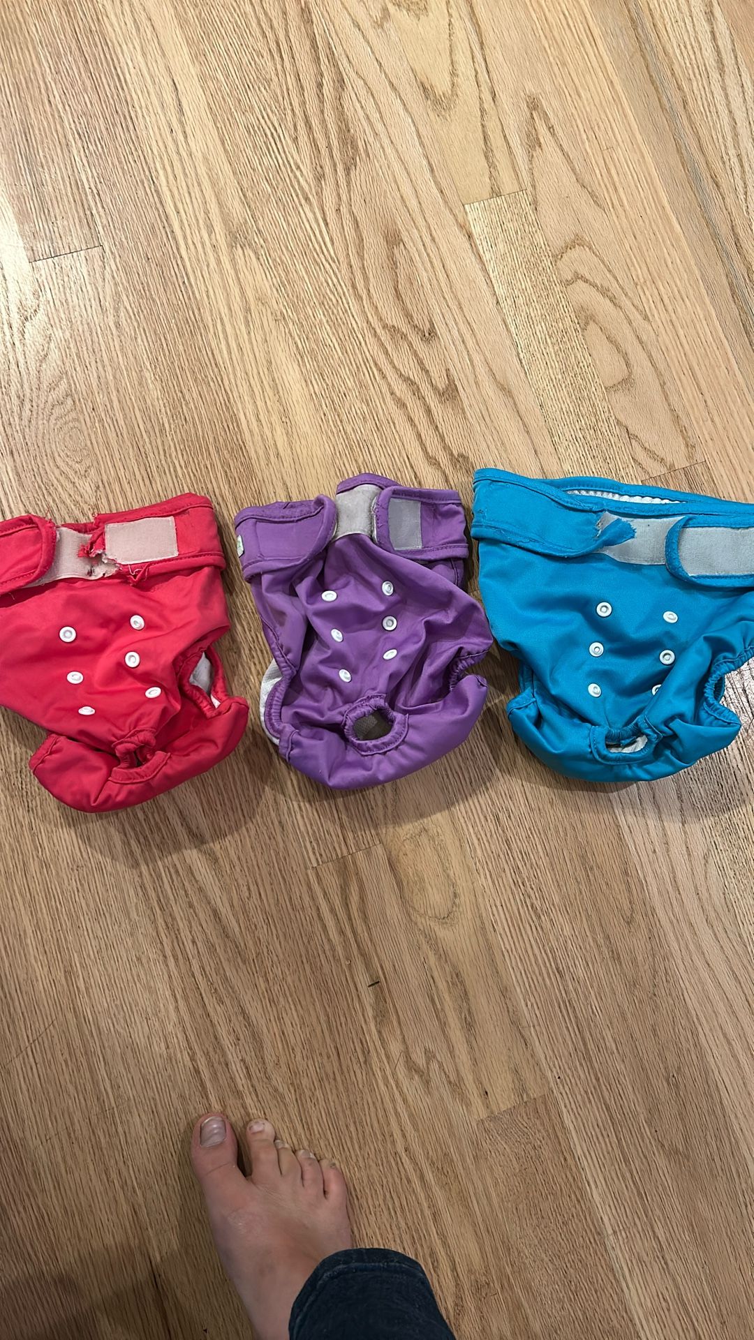 Female Doggie Diapers (Washable)