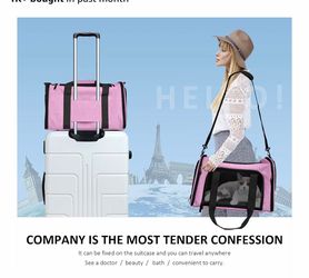pet backpack