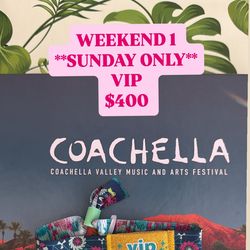 Coachella Sunday pass only Weekend 1 (4/12)