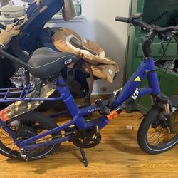 REI co-Op Cargo E-bike 