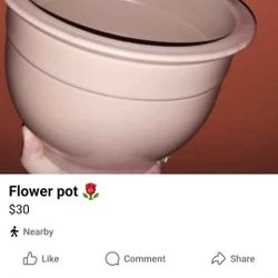 Flower Pot 