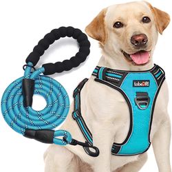 No Pull Dog Harness Adjustable Reflective Oxford Easy Control with 5ft Dog Leash