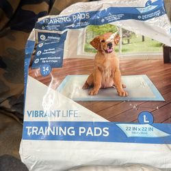 Large puppy pads
