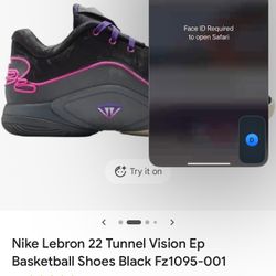 LeBron Monopoly And LeBron Black Light