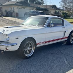 1965 Mustang fastback GT350 tribute
