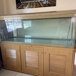 Fish Tank Aquarium 