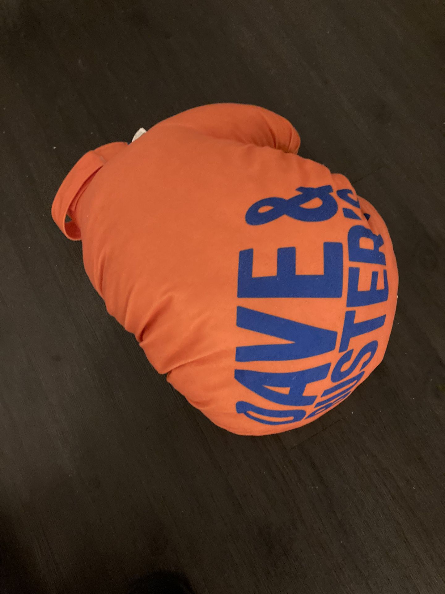 Dave & Busters Plush Boxing Glove