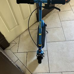 Electric Scooter E100 8+