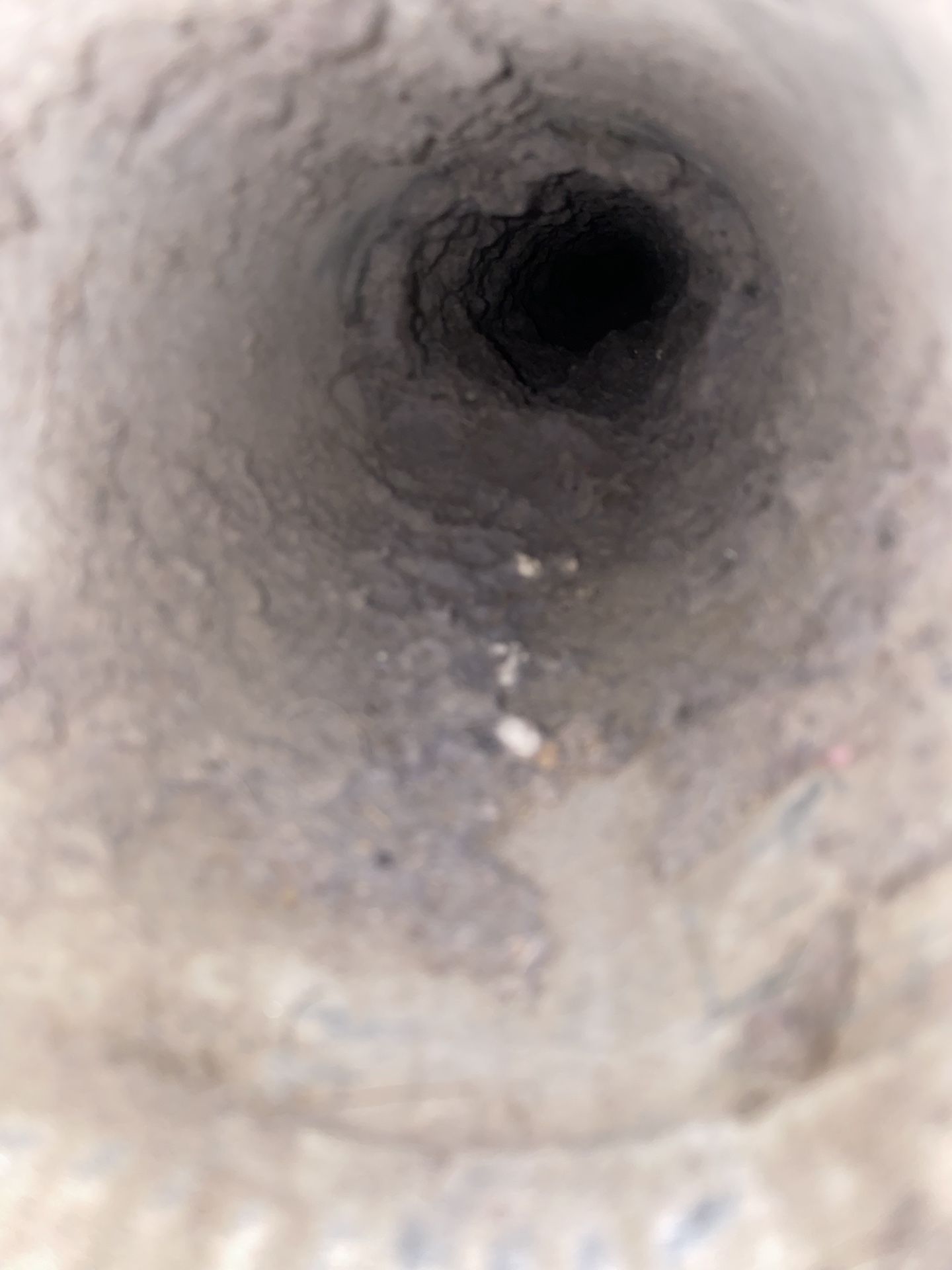 Dryer Vent