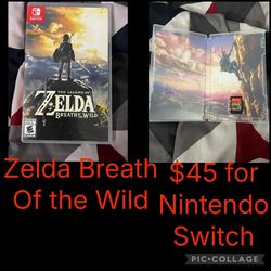 Nintendo Switch Game