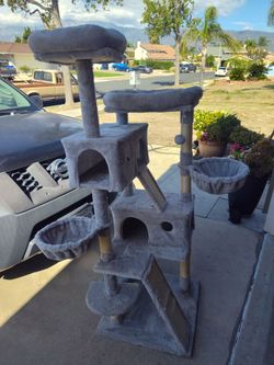 Cat tree condo and hammocks