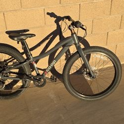 Kids Bike Co Op by REI Rev 24