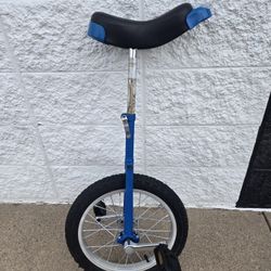 Unicycle