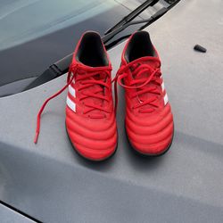 Soccer Shoes